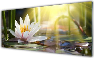 Acrylglasbilder 125x50 Wandbild Druck Blumen Wasser Pflanzen