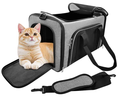 Produktbild von Robuste Katzen Transporttasche für große Katzen und 2 kleine
