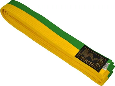 Produktbild von TEKKA BUDO Kampfsport Gürtel Gelb-Grün mittig geteilt 2-farbig - Budogürtel halb halb gestreift, Karate, Judo, Taekwondo, Ju-Jutsu - 220 cm
