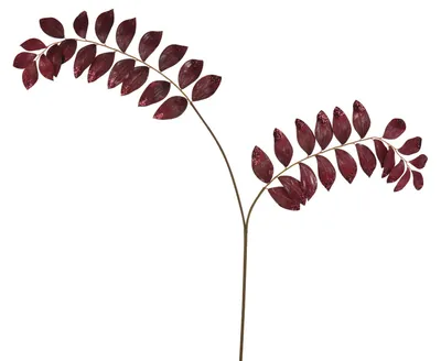 Produktbild von Takplatte 27x16x110, Farbe Rot, Marke Decoris