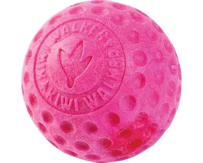 Obrázek produktu pro Hračka pes BALL MAXI plov. z TPR růžová Kiwi