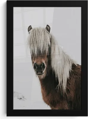 Produktbild von MuchoWow® MuchoWow® Gerahmtes Poster Pferde - Tiere - Porträt - Braun - Weiß 20x30 cm - Poster mit zchwarzem Bilderrahmen - Drucken - Bilder Poster im Rahmen