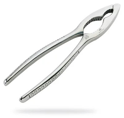 Produktbild von PREMAX Nussknacker 15439 Edelstahl 6 1/4