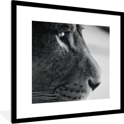 Produktbild von MuchoWow® Gerahmtes Poster Tierprofil Löwe in schwarz und weiß 40x40 cm - Poster mit Schwarzem Bilderrahmen Wandposter Rahmen Foto Bilder - Poster - Plakat im Rahmen