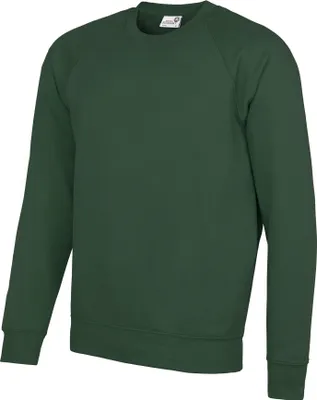 Immagine prodotto di Felpa girocollo AWDis Academy da uomo RW3916 (XL) (Verde)
