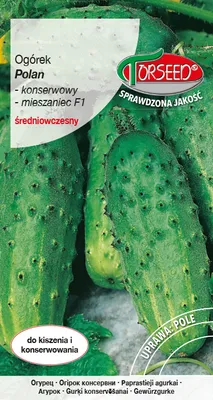 Produktbild von Saatgut Gemahlene Gurke Polan F1 3g - Torseed