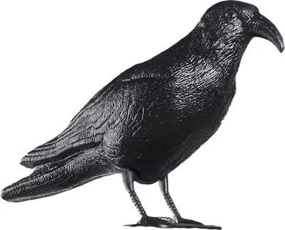 Produktbild von Vogelscheuche Anti-Vogel in Rabenform 36x13x18cm