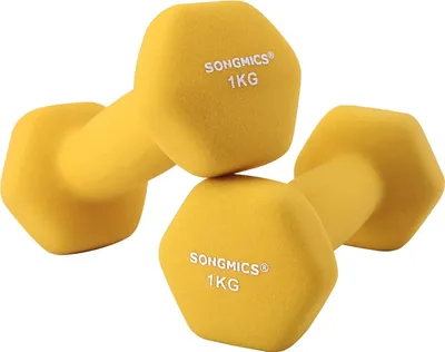 Produktbild von SONGMICS Hantel-Set Kurzhanteln, 2er Set, Krafttraining, zu Hause, Büro