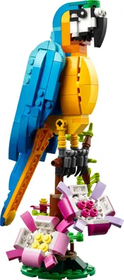 Produktbild von LEGO 31136 Creator 3in1 Exotischer Papagei, Frosch und Fisch Ostergeschenk Dschungel-Tier-Figuren Bauspielzeug, kreatives Osterdeko Spielzeug für Kinder ab 7 Jahren zu Ostern 2023