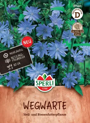 Produktbild von SPERLI Samen Wegwarte Cichorium intybus 60 Pflanzen