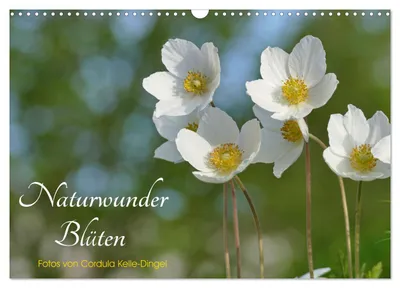 Produktbild von Naturwunder Blüten (Wandkalender 2027 DIN A3 quer), CALVENDO Monatskalender