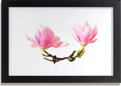 Produktbild von Bild 30x20 MDF-Rahmen Wandkunst Flowers On The Wall