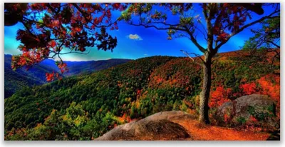 Produktbild von Acrylglasbilder 120x60 Wandbild Druck Gebirge Wald Natur