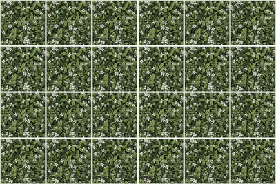 Produktbild von Fliesenaufkleber 15x15 cm – 24 Stück – Selbstklebend – Wasserfest – Pflegeleicht – Hitzebeständig – Für Küche & Bad – Blätter mit zarten Blüten