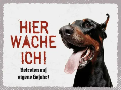 Produktbild von vianmo Holzschild 30x40 cm Doberman hier wache eigene Gefahr Tier Haustier