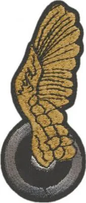 Produktbild von AUFNÄHER - Adlerflügel - 06021 - Gr. ca. 9 x 3 cm - Patches Stick Applikation