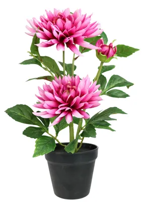 Produktbild von Künstliche Chrysantheme im Topf 40 cm – Kunstblume Rosa Herbstdeko