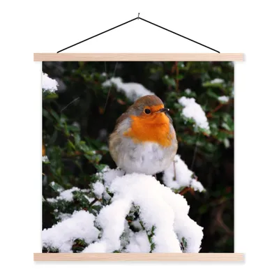 Produktbild von MuchoWow® Textilposter Rotkehlchen - Baum - Schnee 40x40 cm mit holzfarbenen Rahmen - Posterleiste