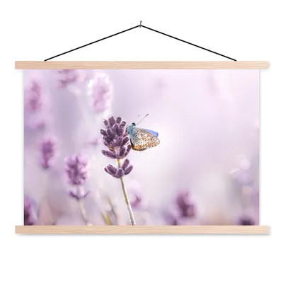 Produktbild von MuchoWow® Textilposter Lavendel - Schmetterling - Nahaufnahme - Lila 120x80 cm mit holzfarbenen Rahmen - Aufhängeset
