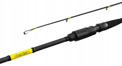 Image de Canne Delphin Harder Spinning 180 cm 60 g