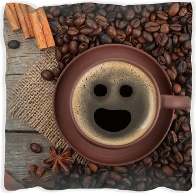 Produktbild von Wallario Premium Kissen, weiche Oberfläche, mit Motiv Lustige Kaffeetasse mit einem Lächeln - Kaffeebohnen und Zimt, Größe: 30 x 30 cm, mit weißer Rückseite