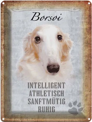 Produktbild von vianmo Blechschild 40x30 cm Borsoi Hund athletisch