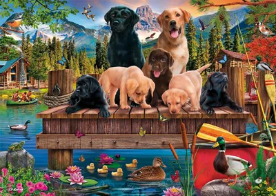 Immagine prodotto di Schmidt Spiele Puzzle Hundefamilie am See, Standard, Erwachsenenpuzzle, 1000 Teile, 59778