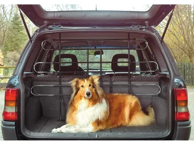 Produktbild von Hundegitter Kofferraumgitter Autogitter - Breite 90 bis 140 cm - Höhe 65 bis 110 cm - Schwarz-Silber - Für den Kofferraum