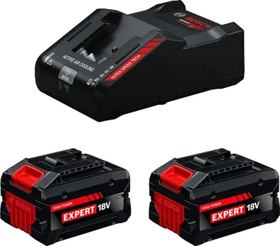 Imagen del producto de Power Set BOSCH (2 x EXBA18V-80 + EXAL18V-160)