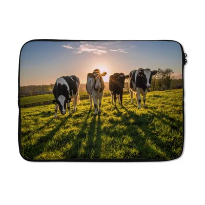 Produktbild von MuchoWow® Laptop Hülle 13 Zoll Kühe - Sonne - Gras - Tiere - Bauernhof Laptoptasche - Laptophülle - Sleeve - Rundumschutz