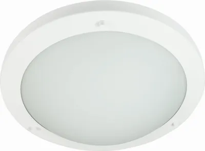 Obrázek produktu pro Stropní LED osvětlení do koupelny AQUILA - 10W, 6500K (studená bílá), 31cm, kulaté, bílé