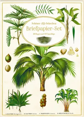 Produktbild von Briefpapier-Set - Sammlung Augustina
