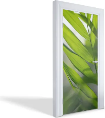 Produktbild von Türfolien Design Selbstklebende Wandsticker Türtapeten - Grüne Blätter - 95 x 205 cm