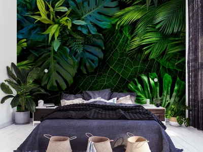 Produktbild von Vlies Fototapete tropische Blätter Monstera 400x280 cm Tapeten Wandtapete XXL Natur grün b-C-0224-a-a