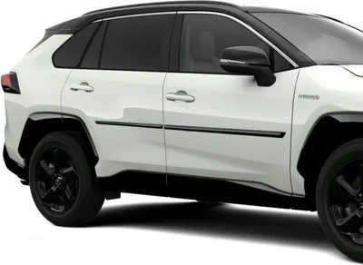 Immagine prodotto di TOYOTA Rav4 rivestimento porta laterale cpl PT938-42190-02 OE