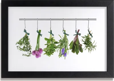 Produktbild von Bild 30x20 MDF-Rahmen Wandkunst Blumen Pflanzen Natur