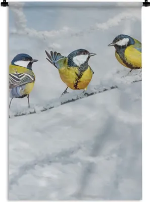 Produktbild von MuchoWow® Wandteppich Wandbehang Vogel - Kohlmeise - Winter - Schnee - Zweige 60x90 cm Tapisserie Dekoration Wandtuch - Foto-Teppich - Abwaschbar