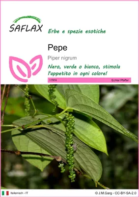 Immagine prodotto di SAFLAX  - Pepe  - 20 semi - Piper