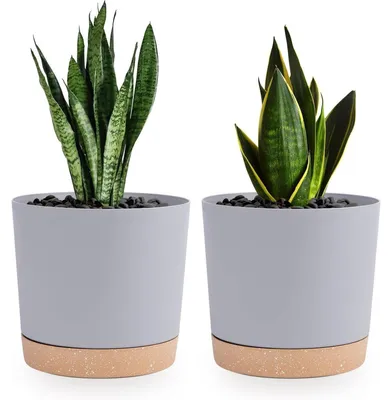 Productafbeelding van Bloempotset van 2 stuks, 16,5 cm, lichtgrijs, met onderzetters, geschikt voor binnen- en buitengebruik