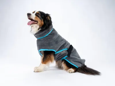 Produktbild von TrendPet Dampfhund Hundebademantel Gr. 06