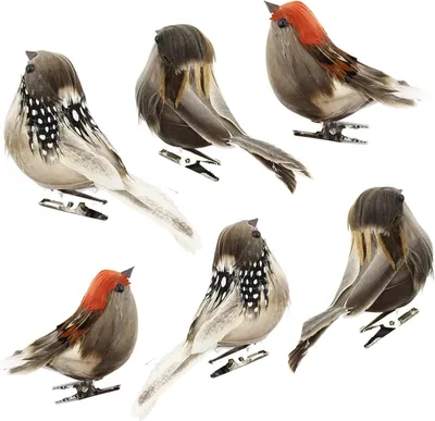 Imagen del producto de Pájaros decorativos de plumas, 6 unidades, 10 cm, para decoración de jardín