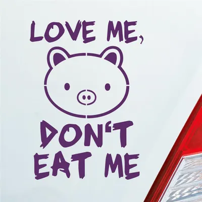 Produktbild von Auto Aufkleber Love me Schwein Tier Vegetarier Vegan 12x8,5 cm Lila Sticker Heckscheibenaufkleber