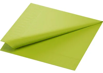 Produktbild von Duni 149079, Seidenpapier, 400 mm, 400 mm, Deutschland, 584 mm, 406 mm