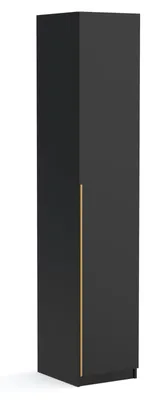 Produktbild von Kleiderschrank, Drehtürenschrank, 1-türig, 45cm breit, matt, Bristol schwarz gold