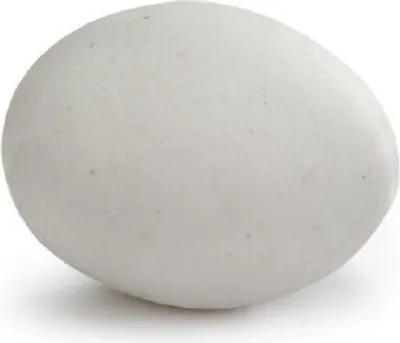 Produktbild von Tauben Brutei - Vogel - Stein - Durchm. 4 cm