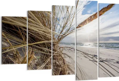 Produktbild von Bild auf Leinwand - Leinwandbild - 5 Teile - Küste Perspektive Gras - 150x100cm - Wand Bild - Wanddeko - Wandbilder - Leinwanddruck - Bilder - Wanddekoration - Leinwand bilder - EG150x100-4526