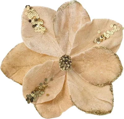 Immagine prodotto di Fiori per l'albero di Natale - Magnolia di Champagne su un bastoncino lungo 20 cm