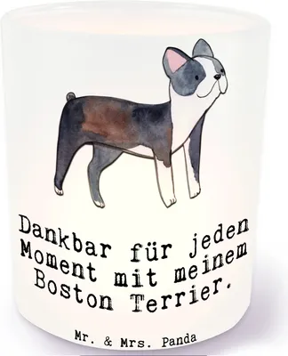 Produktbild von Mr. & Mrs. Panda Windlicht Glas Boston Terrier Moment - Transparent - Geschenk, Outdoor, laterne, Teelichthalter, aus