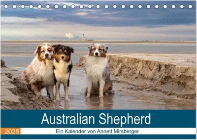 Produktbild von Australian Shepherd 2025 (Tischkalender 2025 DIN A5 quer), CALVENDO Monatskalender