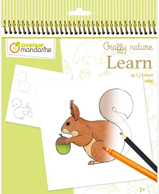 Productafbeelding van Graffy Learn, Wald